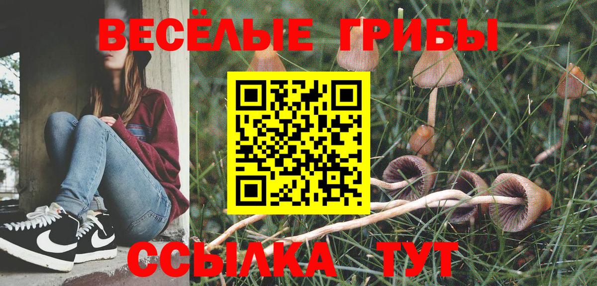 Ростов Великий  Псилоцибиновые грибы мухоморы  Вход с VPN 
